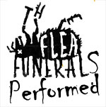 dog fleas