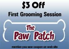 $5 Off, Dog Grooming in Paris, Tennessee