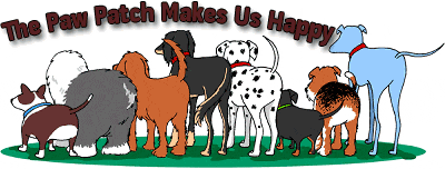 Dog grooming animation