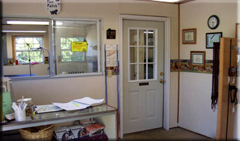 Dog Grooming Shop